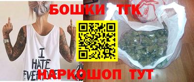 индика Брянск