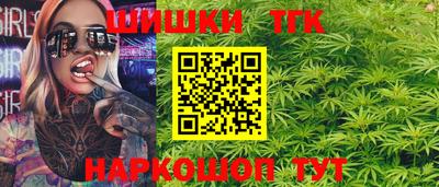 индика Брянск