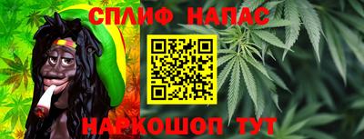 индика Брянск