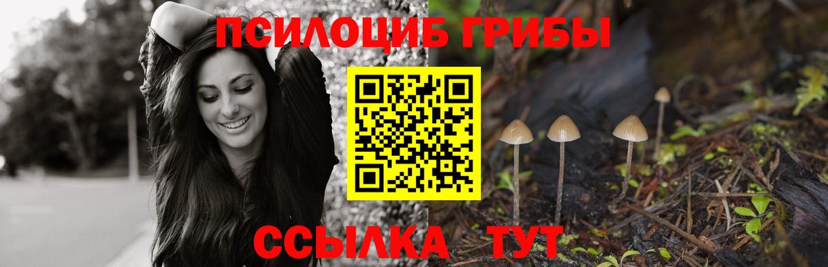 Галлюциногенные грибы MAGIC MUSHROOMS Асино
